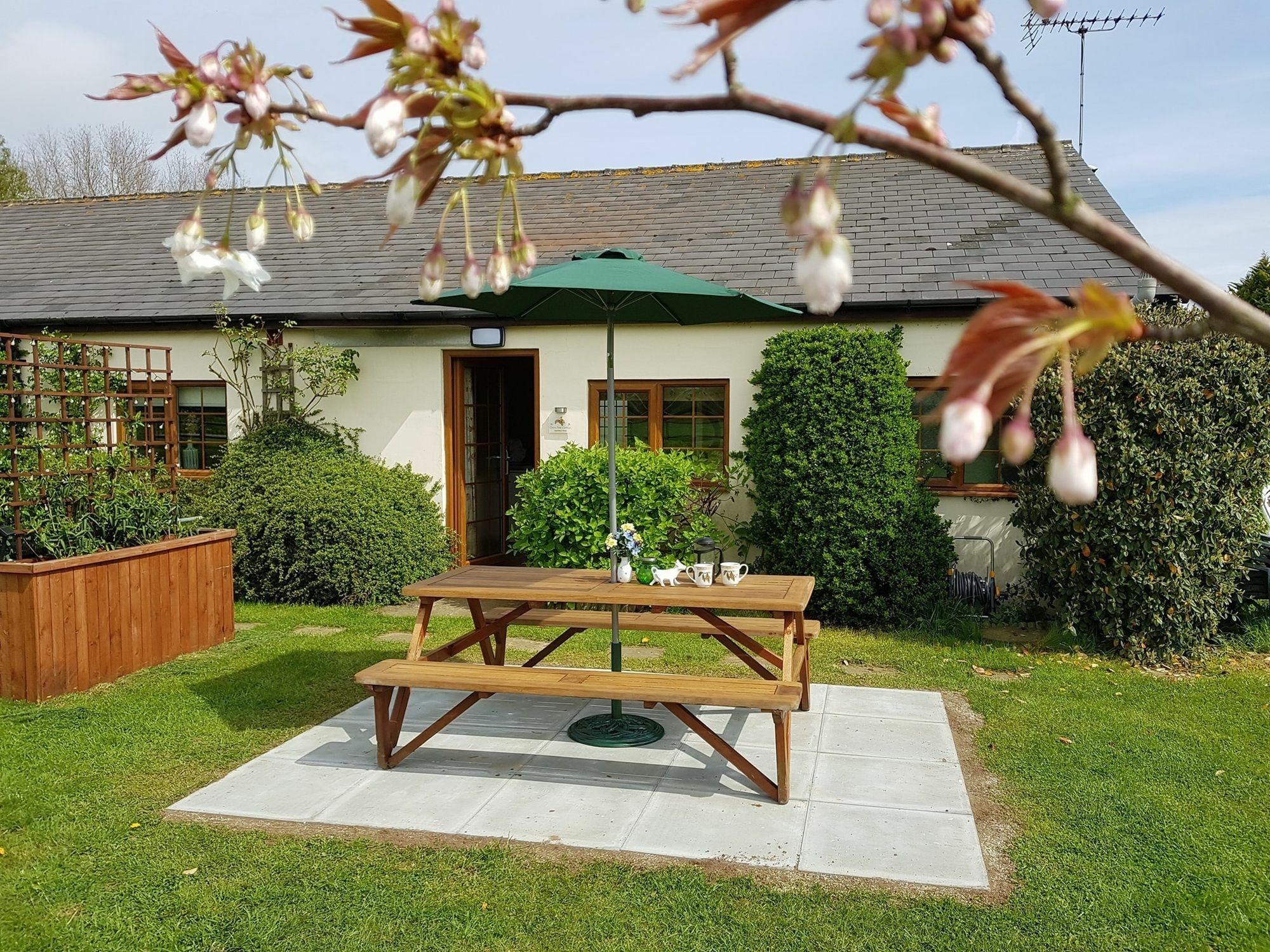 Hawthorn Farm Cottages Кентербері Екстер'єр фото